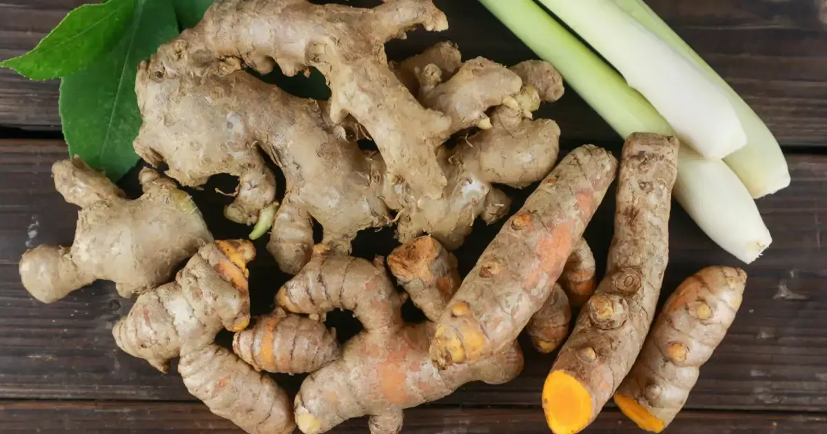 Kryddornas hemlighet: smak, hälsa och vetenskapen bakom